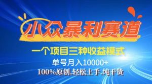 （14300期）【灵狐方案】微信视频号全新爆红跑道，三种盈利方式，0粉小号一条条受欢迎原创设计…-网创资源