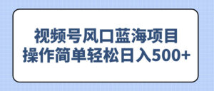 （14276期）视频号风口蓝海项目，操作简单轻松日入500+-网创资源
