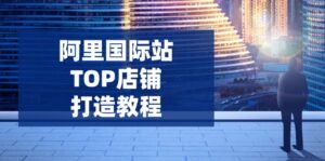 （14269期）阿里巴巴国际TOP店面打造出实例教程：包含服务平台到高级，处理经营困难，提高外贸询盘-网创资源
