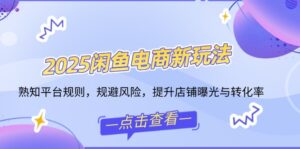 （14232期）2025闲鱼平台电子商务新模式，熟识运营规则，防范风险，提升店铺曝出与转换率-网创资源