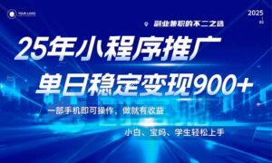 （14209期）25年全新出风口，微信小程序机营销推广，平稳日入900 ，新手快速上手！-网创资源