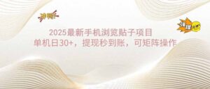 （14197期）2025手机浏览帖子单机日30+，提现秒到账，可矩阵操作-网创资源