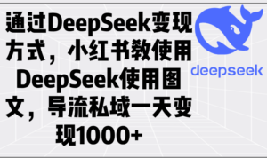 （14179期）根据DeepSeek变现模式，小红书的教应用DeepSeek图文并茂，引流公域一天转现1000-网创资源