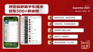 （14139期）发表评论歪门邪道截留自主创业粉新的方法，日处于被动加300 自主创业粉，精准引流方法处于被动加上…-网创资源