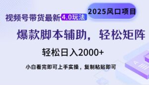 （14071期）视频号带货全新4.0游戏玩法，著作制作简单，当日养号，拷贝，轻轻松松引流矩阵…-网创资源