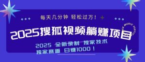 （14049期）2025最新看视频躺赚项目：每天几分钟，轻松月入过万-网创资源