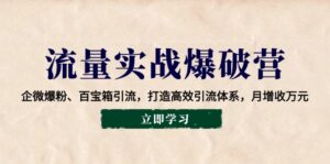（14039期）流量实战爆破营：企微爆粉、百宝箱引流，打造高效引流体系，月增收万元-网创资源