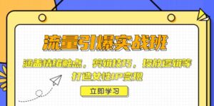 （14008期）流量引爆实战班，涵盖情绪触点，剪辑技巧，投放逻辑等，打造女性IP变现-网创资源