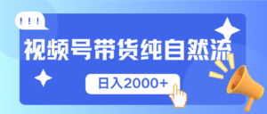（13998期）视频号带货，纯自然流，起号简单，爆率高轻松日入2000+-网创资源