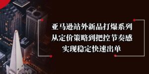 （13970期）亚马逊站外新品打爆系列，从定价策略到把控节奏感，实现稳定快速出单-网创资源