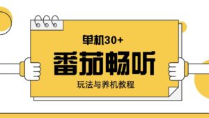 （13966期）番茄畅听玩法与养机教程：单日日入30+。-网创资源