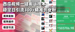 （13961期）西瓜视频一键搬运技术，稳定日引流300+精准创业粉，简单可复制给团队，…-网创资源