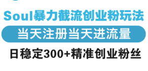 （13935期）Soul暴力截流创业粉玩法，当天注册当天进流量，日稳定300+精准创业粉丝-网创资源