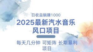 （13894期）2025最新汽水音乐躺赚项目 每天几分钟 日入1000＋-网创资源