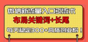 （13897期）微信新流量入口引流术，布局关键词+长尾，每天稳定300+高质创业粉！-网创资源