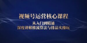 （13863期）视频号运营核心课程，从入门到精通，深度讲解推流算法与排品实操玩-网创资源