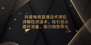 （13846期）抖音电商直播话术课程，详解拉流话术，吸引观众，提升流量，助力销售转化-网创资源