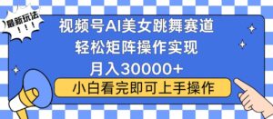 （13813期）视频号蓝海赛道玩法，当天起号，拉爆流量收益，小白也能轻松月入30000+-网创资源