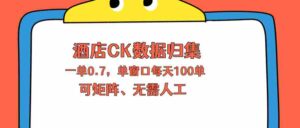 （18350期）上班也能玩的酒店CK数据归集，一单0.7单窗口每天可做100单，一个人就能矩阵操作-网创资源