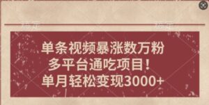 一条作品涨万粉，轻松上手，单月简单变现3000+-网创资源