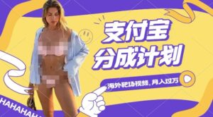 利用海外靶场射击视频,挣支付宝分成收益,轻松月入过W【揭秘】-网创资源