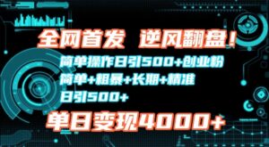 全网首发，简单操作日引500+创业粉，简单+粗暴+长期+精准-网创资源