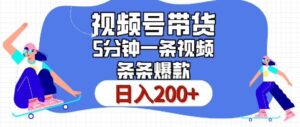 视频号橱窗带货，日入200+，条条火爆简单制作，一条视频5分钟搞定-网创资源