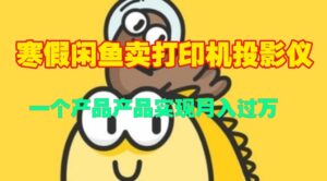 寒假闲鱼卖打印机、投影仪，一个产品产品实现月入过W-网创资源