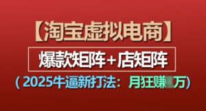 淘宝虚拟电商，2025牛逼新打法：爆款矩阵+店矩阵，月入过万-网创资源