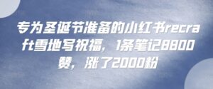 专为圣诞节准备的小红书recraft雪地写祝福，1条笔记8800赞，涨了2000粉-网创资源