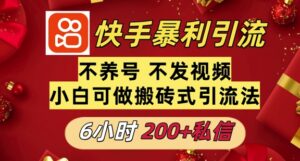 利用快手平台6小时不到200+私信，不发视频不养号-网创资源