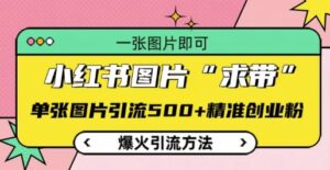 小红书图片‘求带’爆火引流法，单张图片引流500+精准创业粉【揭秘】-网创资源