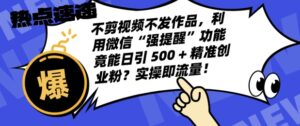 不剪视频不发作品，视频号私信日引 500 + 精准创业粉?实操即流量!-网创资源