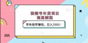 视频号年货项目，流量贼猛，早布局早挣钱，日入上k【揭秘】-网创资源