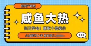 咸鱼大热轻资产类项目，当日学会，赚取十倍差价，小白即可入手-网创资源