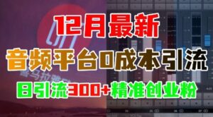 12月最新：音频平台0成本引流，日引流300+精准创业粉-网创资源