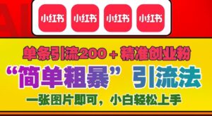 12月底小红书”简单粗暴“引流法，单条引流200+精准创业粉-网创资源