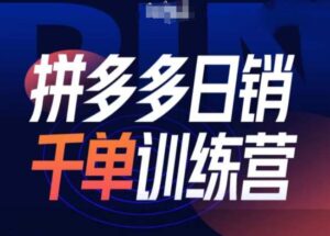 拼多多日销千单训练营第31期-微付费带免费流玩法-网创资源