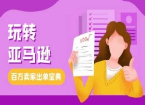 教你玩转亚马逊，跨境电商亚马逊教程，百万卖家出单宝典-网创资源