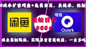 0成本扩容网盘+免费会员，卖技术，拉新，咸鱼最新玩法，实现多重管道收益，一鱼多吃，轻松日入500+-网创资源