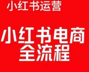 红薯电商实操课，小红书电商全流程-网创资源