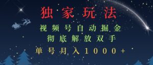 独家视频号自动掘金，单机保底月入1k，解放双手，懒人必备-网创资源