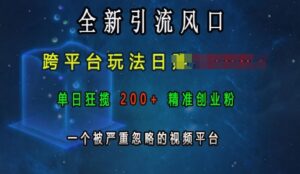 全新引流风口，跨平台玩法日入上k，单日狂揽200+精准创业粉，一个被严重忽略的视频平台-网创资源