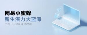 网易小蜜蜂，最新大蓝海项目，单日轻松日涨千粉-网创资源