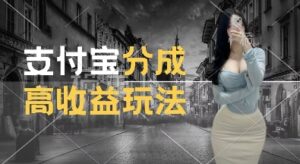 支付宝分成计划新玩法，利用交通事故视频，赚收益，轻松月入过W，操作简单【揭秘】-网创资源