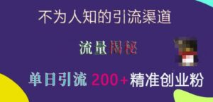 不为人知的引流渠道，流量揭秘，实测单日引流200+精准创业粉【揭秘】-网创资源