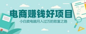 电商挣钱好项目，小白卖电脑月入过W的致富之路-网创资源