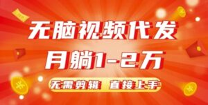 无脑视频代发，月躺1W，无需剪辑，直接上手-网创资源