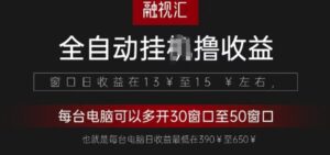 全网独家，全自动观影看广告撸收益项目-网创资源