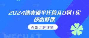 2024速卖通半托管从0到1实战必修课，掌握通投广告打法、熟悉速卖通半托管的政策细节-网创资源